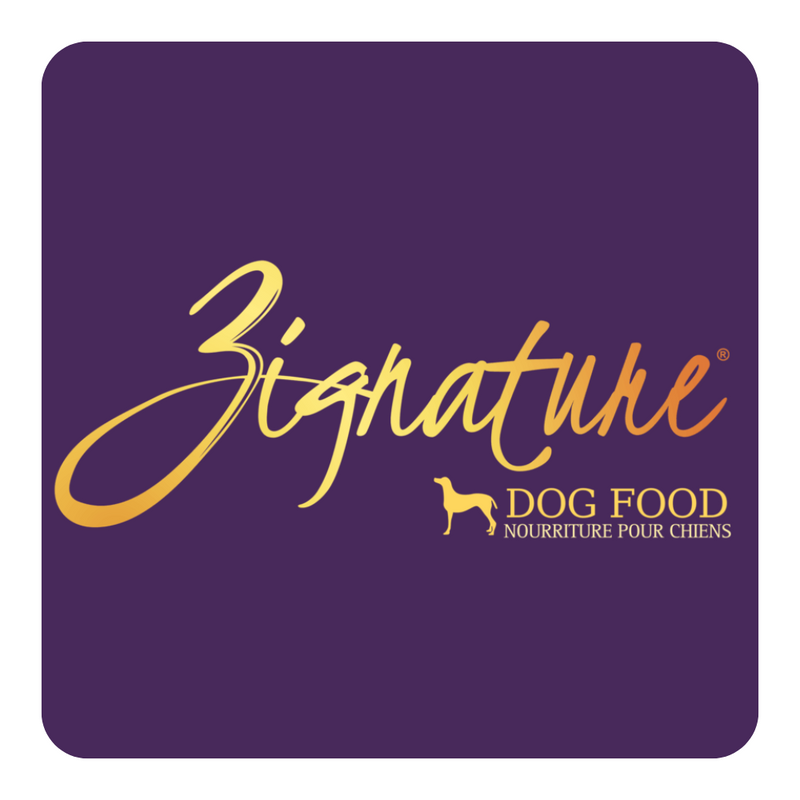 zignature logo