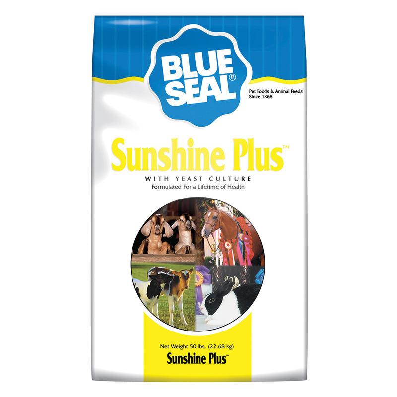 Blue Seal Sunshine Plus Concord NH Hooksett NH Belmont NH