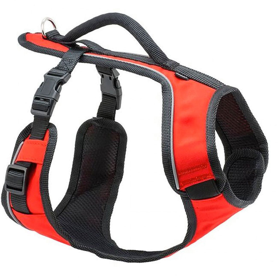 Petsafe easysport dog harness shop