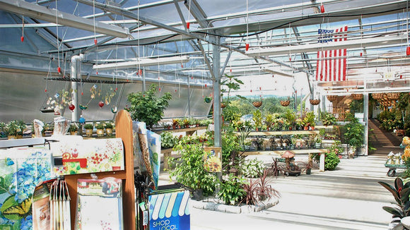 How Osborne’s Agway Is Accomplishing Multi-Purpose Garden Center Goals With Greenhouses
