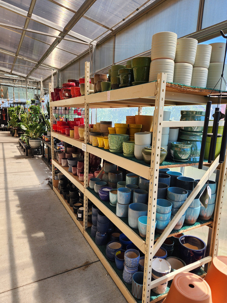 Shelves filled with flowerpots of various colors of the rainbow including blue, green, yellow, orange, and red.