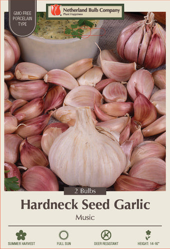 Netherland Bulb Company Hardneck Seed Garlic - Porcelain Type