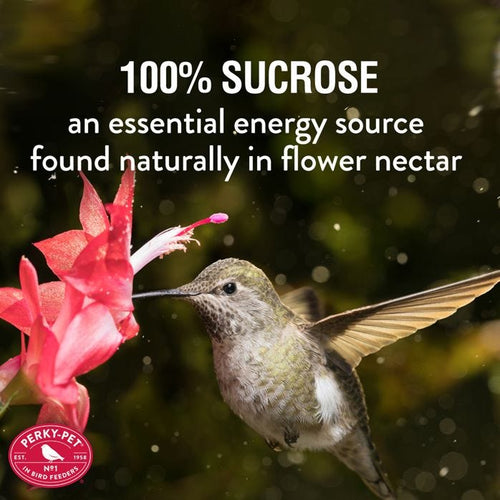 More Birds® Clear Liquid Hummingbird Nectar Concentrate