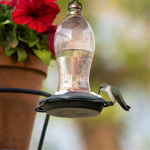 Nature's Way Artisan Gravity Hummingbird Feeder - Blush Crackle