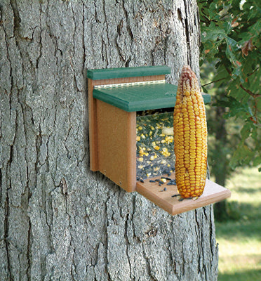 WoodLink Going Green Squirrel Munch Box (7