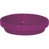 Ceramo Spring Fever 6 In. Violet Clay Flower Pot Saucer