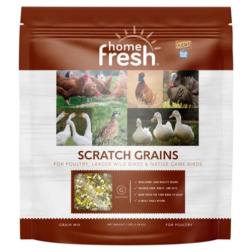 Blue Seal Home Fresh Scratch Grains