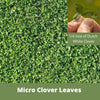 Flawn Seed Kits Micro Clover Eco-Friendly Seeding Kit (Up to 500 Sq. ft.)