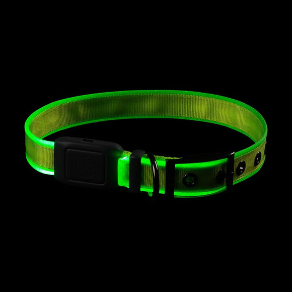 NiteDog® Rechargeable LED Collar (Green)