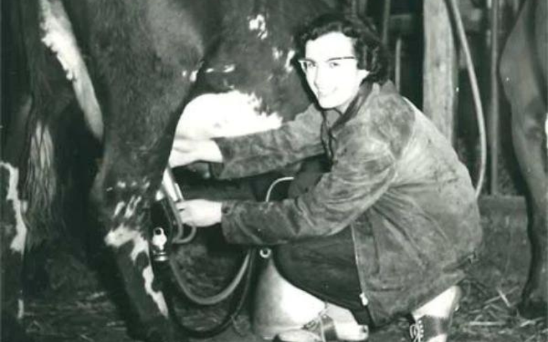 Louise Osborne milking a cow as a International Farm Youth Exchange Student