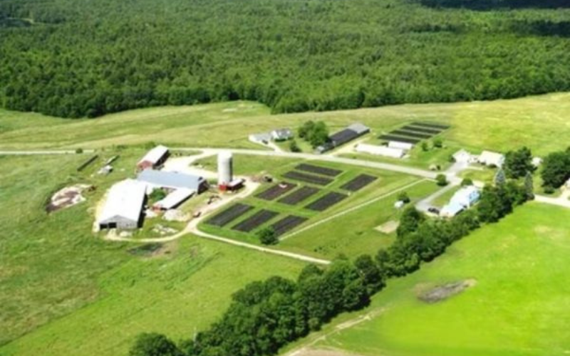 An aerial photograph of the Osborne farm showing greenhouses, growing fields and cord wood