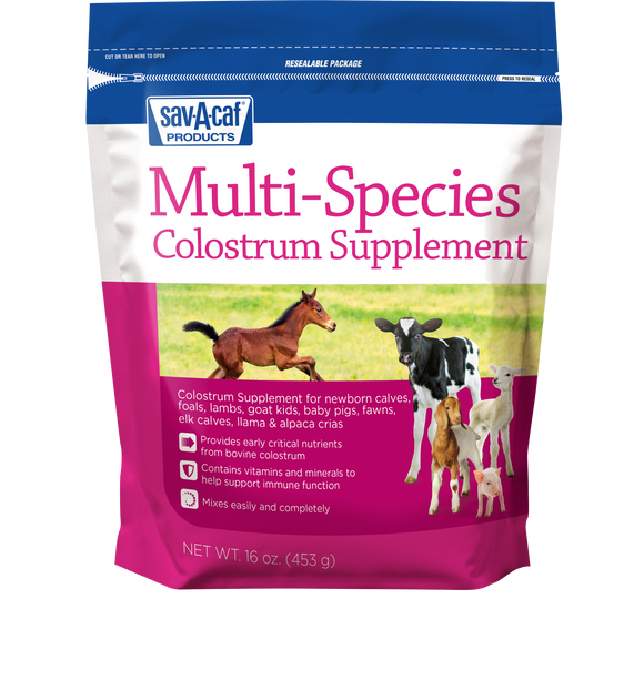 Sav-A-Caf Multi-Species Colostrum Supplement (16 oz)