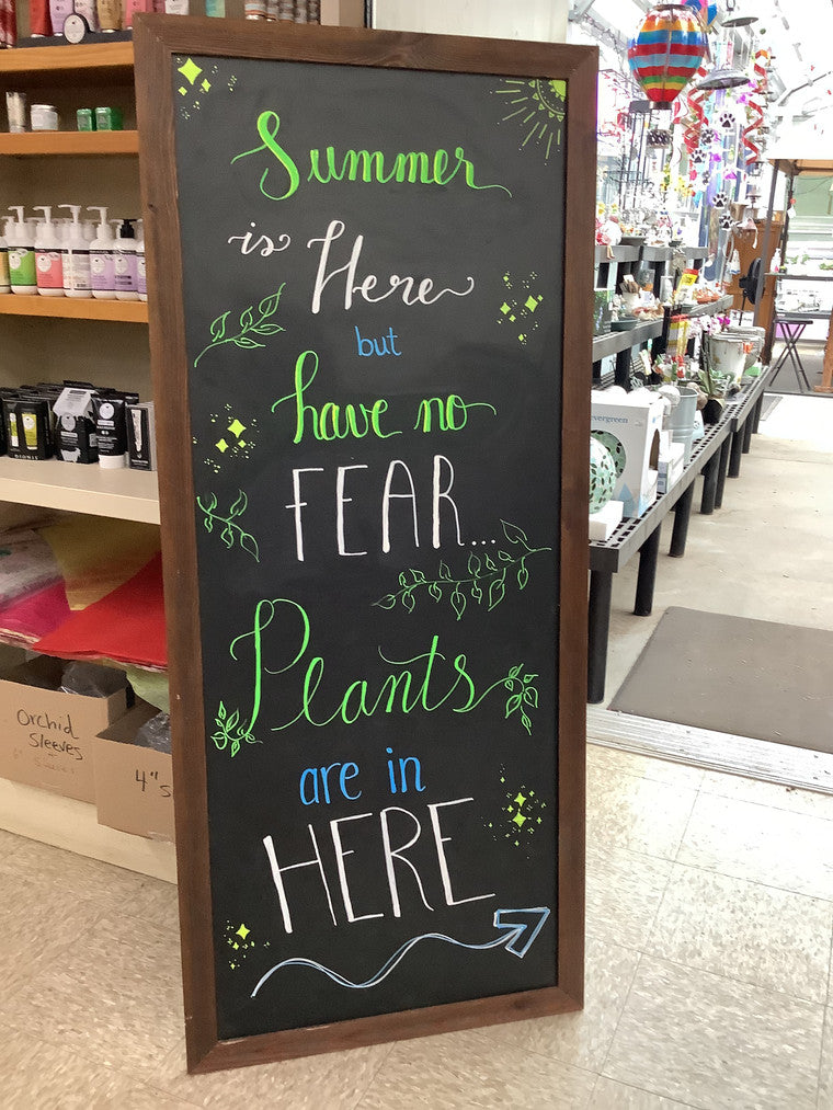 Summer is Here but have no FEAR. Plants are in Here -> chalkboard.