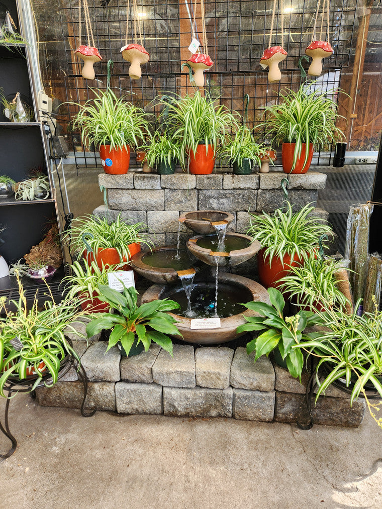 A garden fountain surrounded by potted spider plants, with red mushroom-shaped planters visible above.