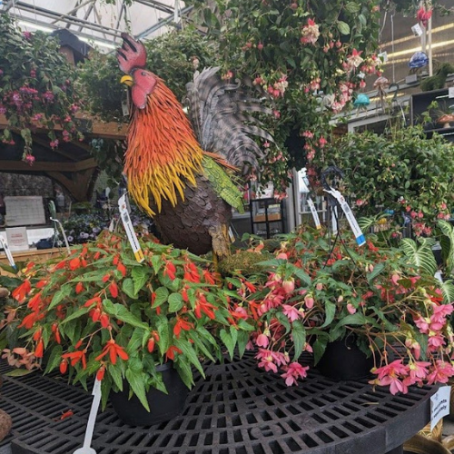 Greenhouses Concord, NH Hooksett, NH Belmont, NH Osborne's Farm