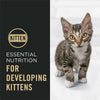 Purina Pro Plan Kitten Complete Essentials Shredded Blend Chicken & Rice Formula Dry Cat Food