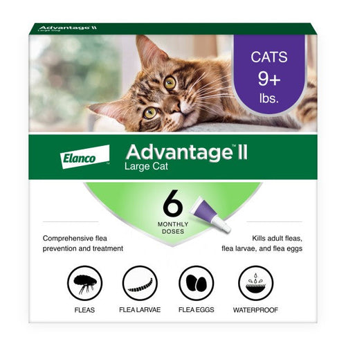 Advantage II Large Cat Flea Treatment & Prevention