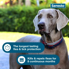 Seresto Flea and Tick Collar for Dogs