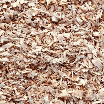 Royal Fine Shavings