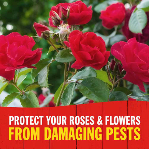 Sevin Sulfur Dust 2 in 1 Disease and Insect Control