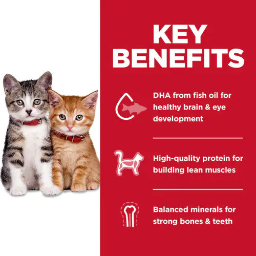 Hill's Pet Nutrition Science Diet Kitten No Corn Wheat Soy Dry Kitten Food