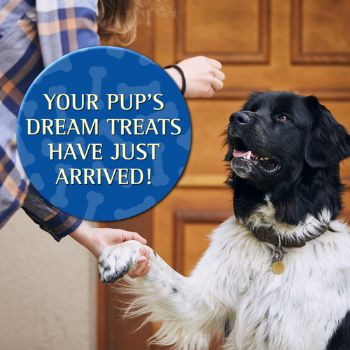Zignature Trout Soft Moist Treats for Dogs