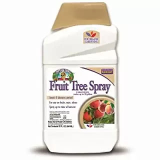 Bonide Captain Jack’s Fruit Tree Spray Concentrate 1 Quart