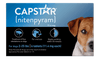 PetIQ CAPSTAR (nitenpyram) Fast-Acting Oral Flea Treatment for Small Dogs