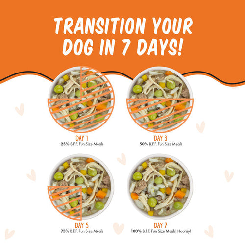 Weruva B.F.F. Fun Size Meals  You My Munchkin with Chicken Breast, Rice & Pumpkin