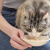 Inaba Chicken Stew - Chicken & Tuna Recipe Cat Food