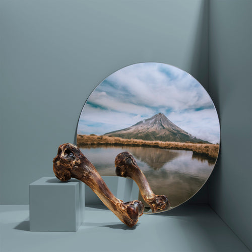 ROAM® Bucky Funny Bone™ Dog Treat