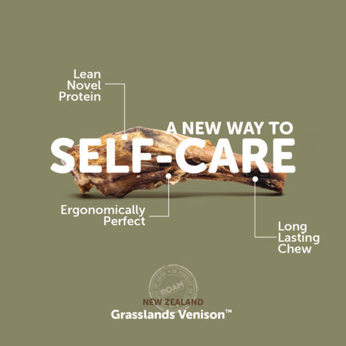 ROAM® Bucky Gnaw-kle™ Dog Treat