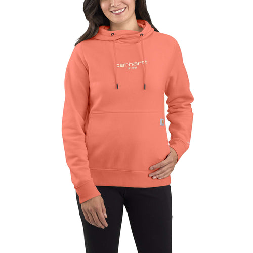 Carhartt Force Relaxed Fit Lightweight Graphic Hooded Sweatshirt
