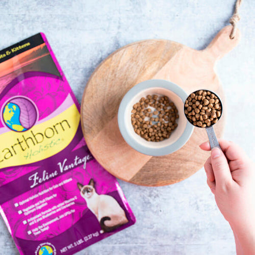 Earthborn Holistic Feline Vantage™