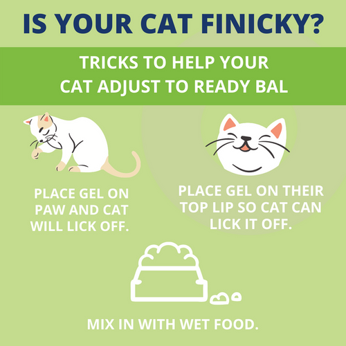 Under the Weather Ready Balance Probiotic Supplement For Cats