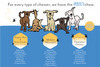 All American Pets Honey I'm Home Tremenda Disc Dog Treats