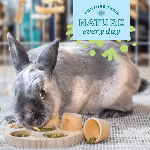 Oxbow Animal Health Enriched Life – Wobble Teaser