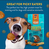 Wholesome Hound Just Chicken & Pumpkin Chips Dog Treats
