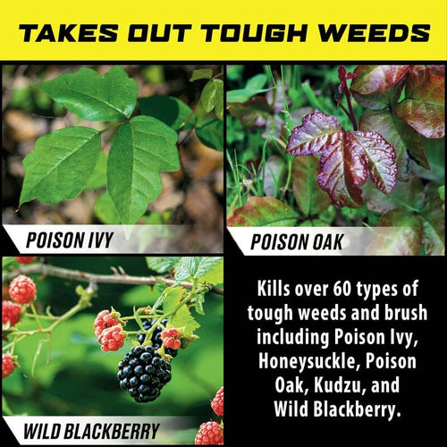 Ortho® Groundclear® Poison Ivy & Tough Brush Killer