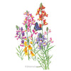 Botanical Interests Fairy Bouquet Linaria Seeds