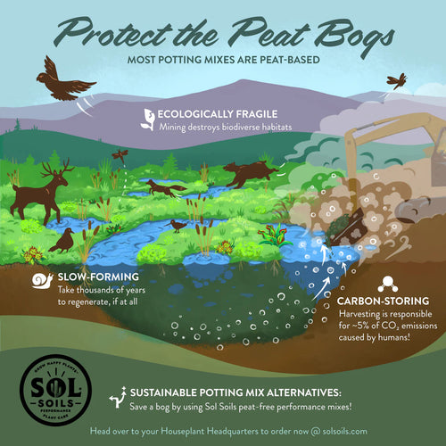 Sol Soils Cactus Gritty Mix