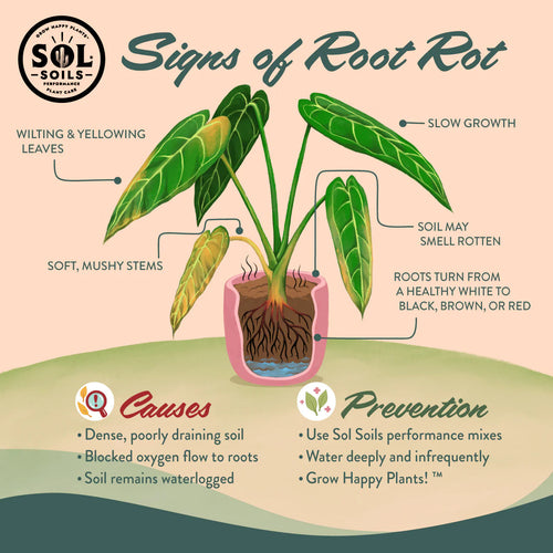 Sol Soils Cactus Gritty Mix