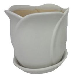Tulip Planter With Attached Saucer, Clay, Assorted, 8 x 6.5-In.