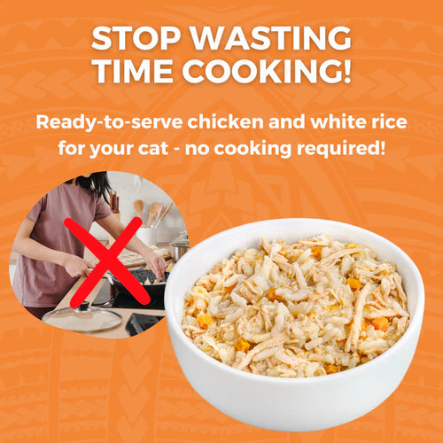 Koha Limited Ingredient Bland Diet Chicken & Rice Recipe for Cats