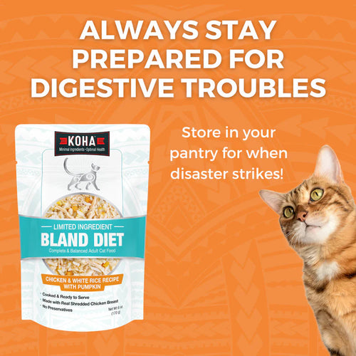 Koha Limited Ingredient Bland Diet Chicken & Rice Recipe for Cats