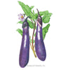 Botanical Interests Long Purple Eggplant Seeds