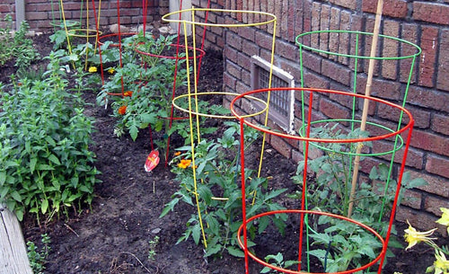 Glamos Wire Products Round Tomato Cages GALVANIZED Round Plant Supports & Peony Supports