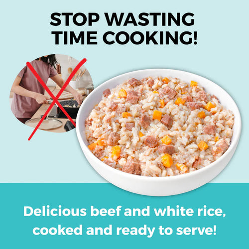 Koha Limited Ingredient Wet Bland Diet Beef & White Rice Recipe for Dogs