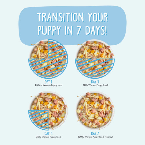 Weruva Beef & Rice Formula in Gravy Wet Dog Food