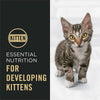 Purina Pro Plan Kitten Complete Essentials Shredded Blend Chicken & Rice Formula Dry Cat Food